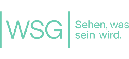 WSG AG WSG AG