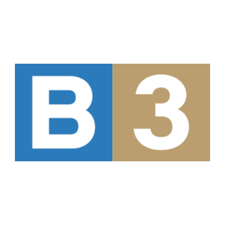 B3 B3